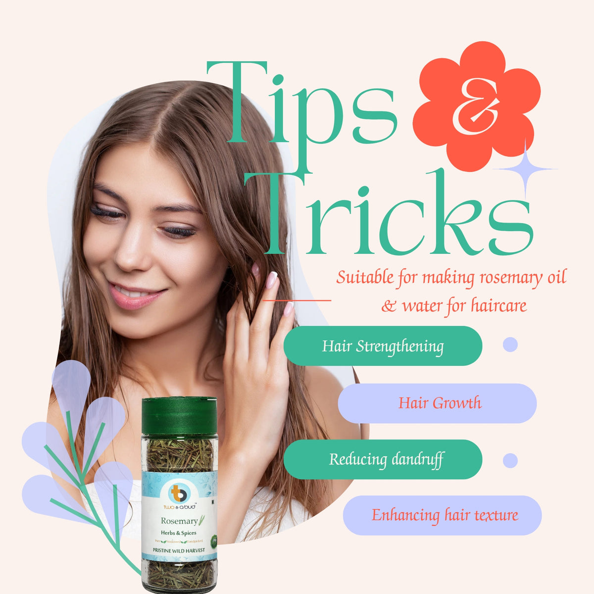 Organic Rosemary Leaves ( 20g )