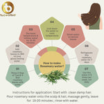 Organic Rosemary Leaves ( 20g )