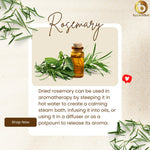 Organic Rosemary Leaves ( 20g )
