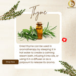 Organic Thyme Leaves 20g