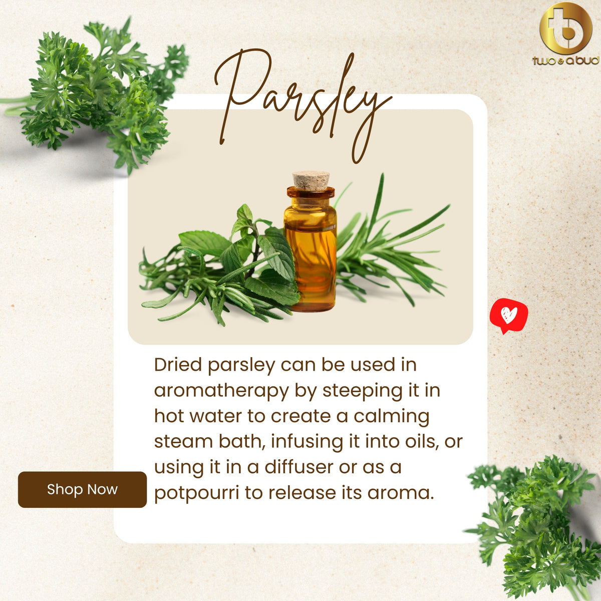 Organic Parsley Leaves ( 20G )