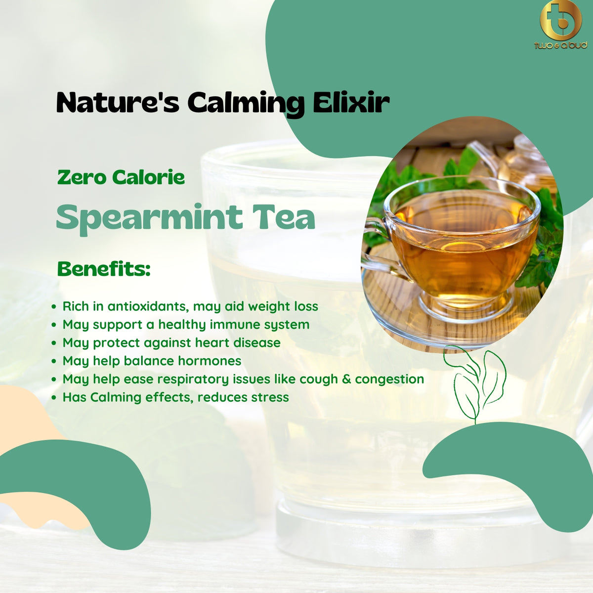 Spearmint Tea 30 g - 15 cups