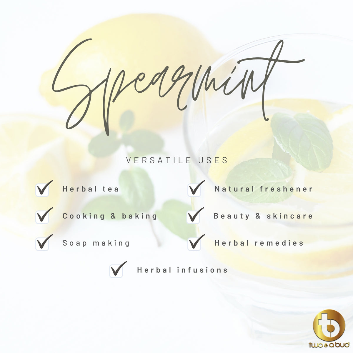 Spearmint Tea 30 g - 15 cups