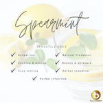 Spearmint Tea 30 g - 15 cups