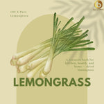 Lemongrass Tea 50 g - 25 cups