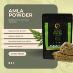 100% Organic Amla Fruit Powder ( 200g)