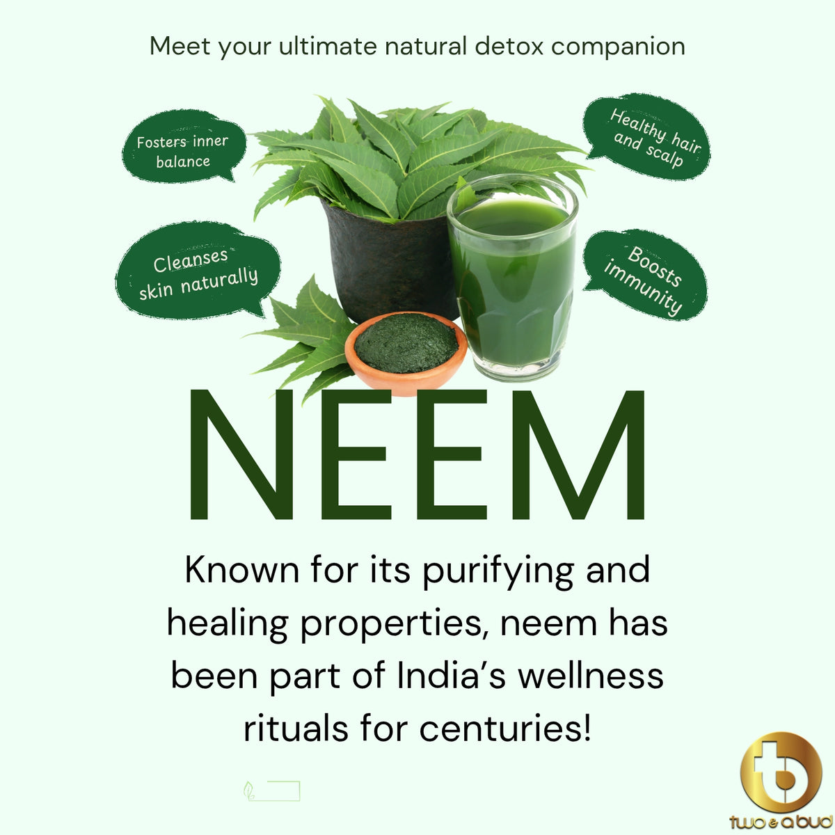 100% Organic Neem Leaves Powder 200 g