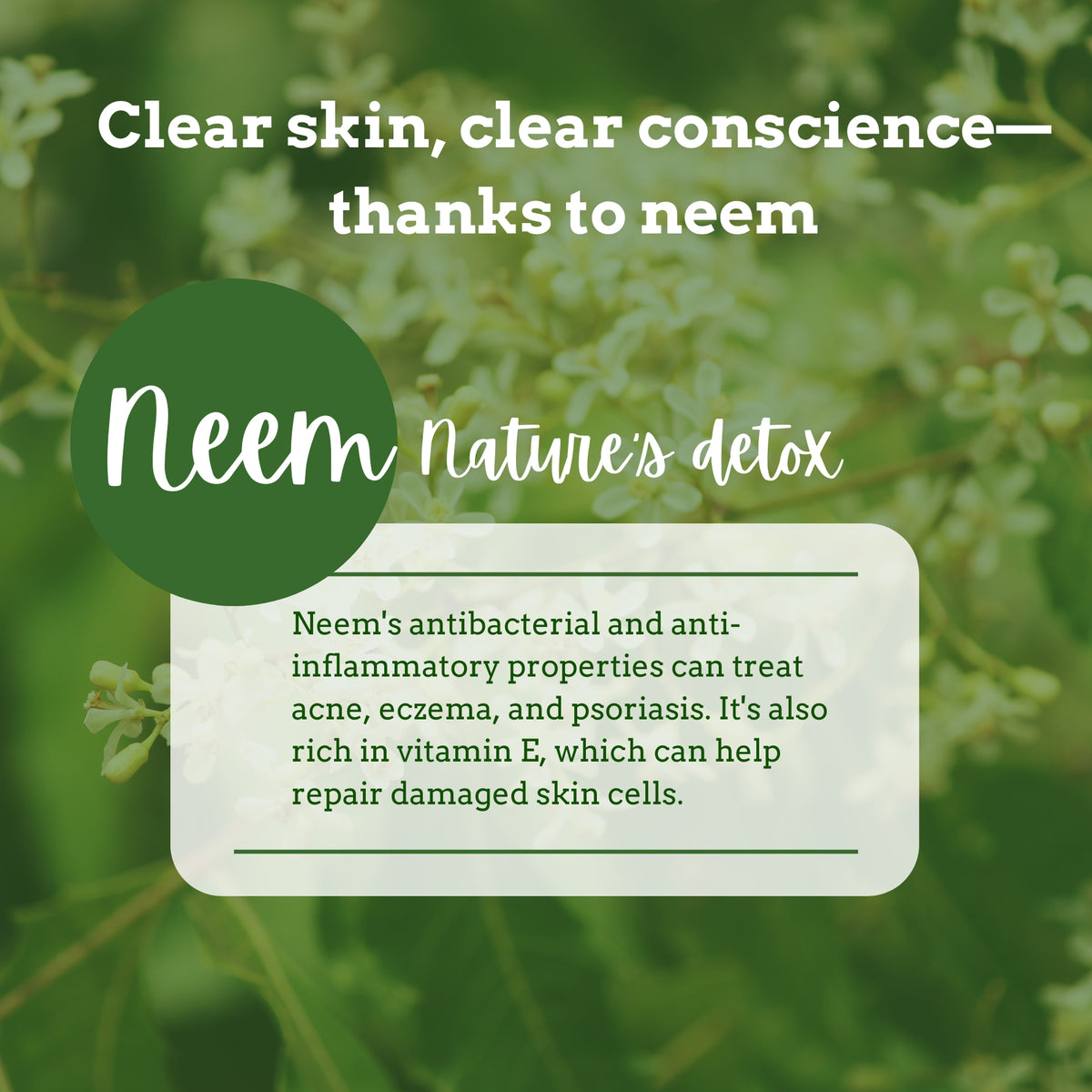 100% Organic Neem Leaves Powder 200 g