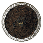 CTC Premium Chai ( 500g )