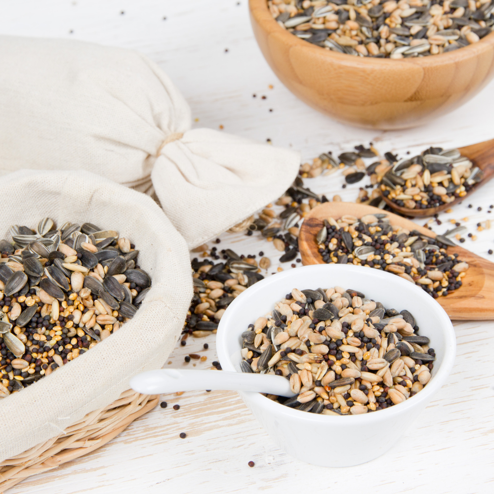 Seeds– Two and A Bud
